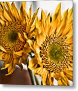 Two Of A Kind Metal Print