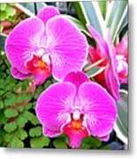 Two Orchids Metal Print