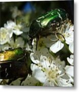 Two Scarabs Metallic Green Metal Print