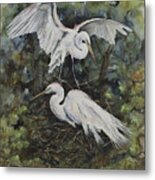 Two Snowy Egrets Metal Print