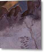 Two Steps Over The Line Metal Print