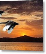 Two Swans At Dawn.  Art Photo Digital Download And Wallpaper Screensaver. Diy Designer Print. Metal Print
