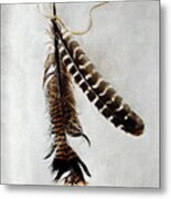 Two Tattered Turkey Feathers Metal Print