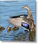 Under My Wings Metal Print