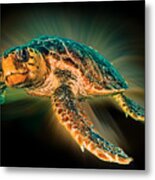 Undersea Turtle Metal Print