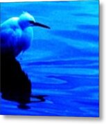 Unseen Chain Of Egret Metal Print