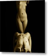 Unsighted Metal Print
