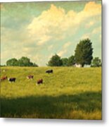 Until The Cows Come Home Metal Print