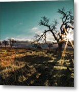 Upper Bidwell Park Metal Print