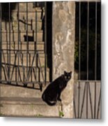 Urban Cat Metal Print