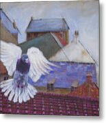 Urban Pigeon Metal Print