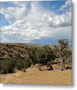 Utah Summer Metal Print