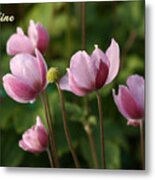 V6-japanese Anemones Metal Print