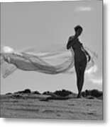 Veiled With Sun And Wind Metal Print