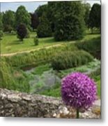 View From Blarney Castle Metal Print