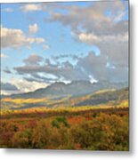 View From Dallas Divide Metal Print