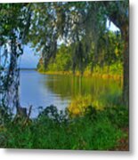 View Under The Spanish Moss Metal Print