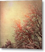 Vintage Cherry Blossom Metal Print