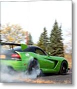 Viper Metal Print