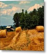 Virginia Hay Field Metal Print