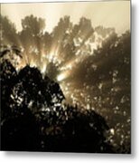 Virginia Sunrise Metal Print