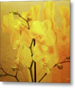 Yellow Visions Of Spring Orchids Metal Print