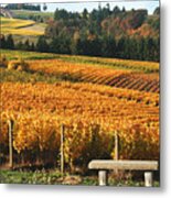 Visiting Wine Country Metal Print