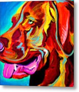 Vizsla - Dog Days Metal Print