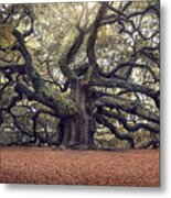 Voices Of The Angels Metal Print