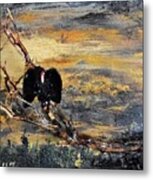 Vulture With Oncoming Storm Metal Print