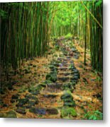 Waimoku Bamboo Forest #2 Metal Print