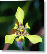 Walking Iris Neomarica Gracillis Painted 002 Metal Print