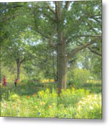 Walking Thru The Park Metal Print