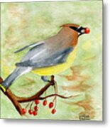 Walter Wax Wing Metal Print