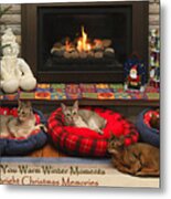 Warm Winter Moments Metal Print