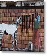 Wash Day For Zebras Metal Print