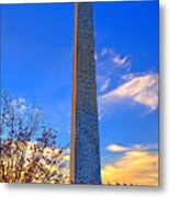 Washington Monument And Cherry Tree Metal Print
