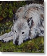 Watchful Rest Metal Print