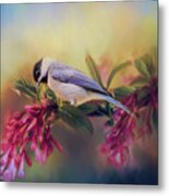 Watching Flowers Bloom Bird Art Metal Print