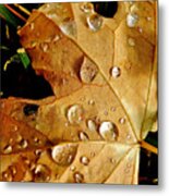 Water Drops Metal Print