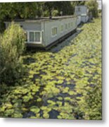 Water Lilies On The Canal Metal Print