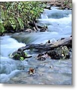 Water Log Metal Print