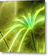 Water Plants Metal Print