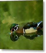 Male Wood Duck Water Reflections Metal Print