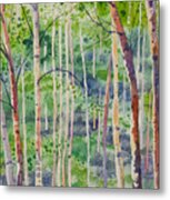 Watercolor - Magical Aspen Forest After A Spring Rain Metal Print