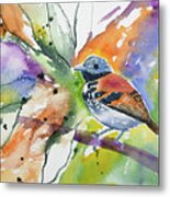 Watercolor - Spotted Antbird Metal Print