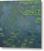 Waterlilies Metal Print