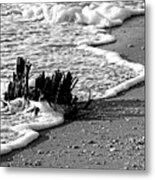 Water's Edge Metal Print