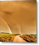 Way Outback Metal Print