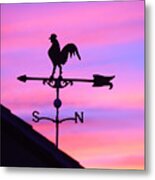 Weather Vane, Wendel's Cock Metal Print